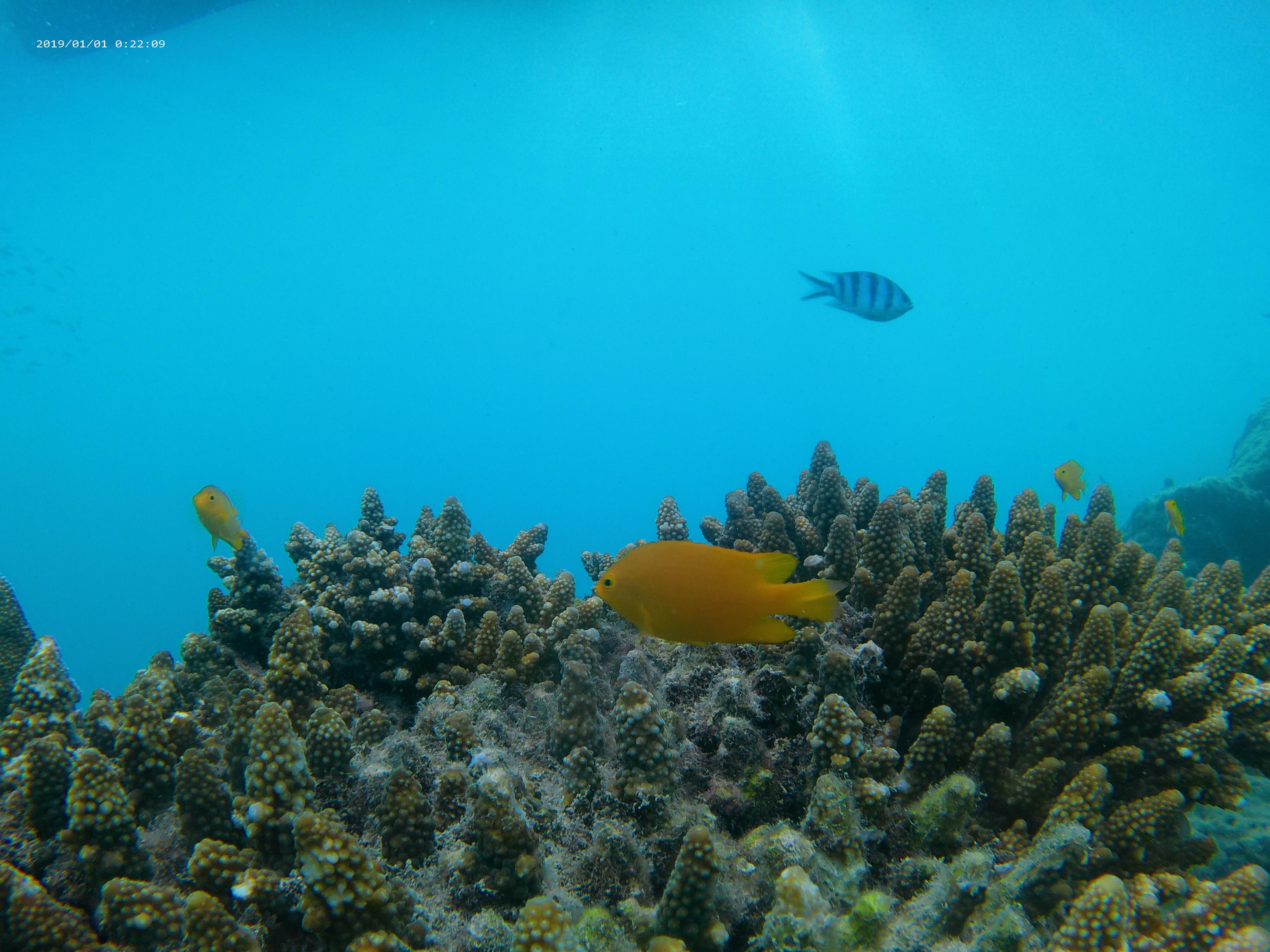 Pulau Pari 3